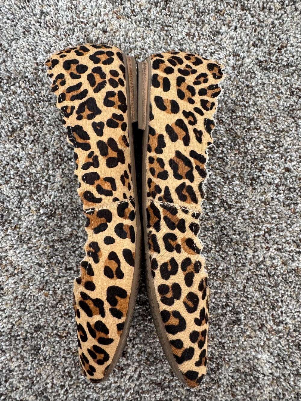 Audrey Brooke Scalloped Leopard Print Flats - Tan/Black - Picture 2 of 5